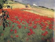 William blair bruce Landscape with Poppies (nn02) oil painting picture wholesale